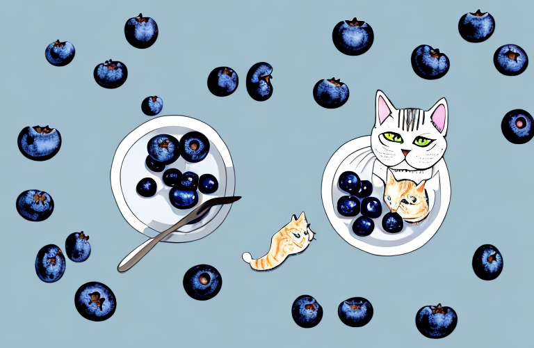 A cat eating blueberries