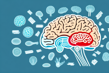 Brain: Diseases And Symptoms