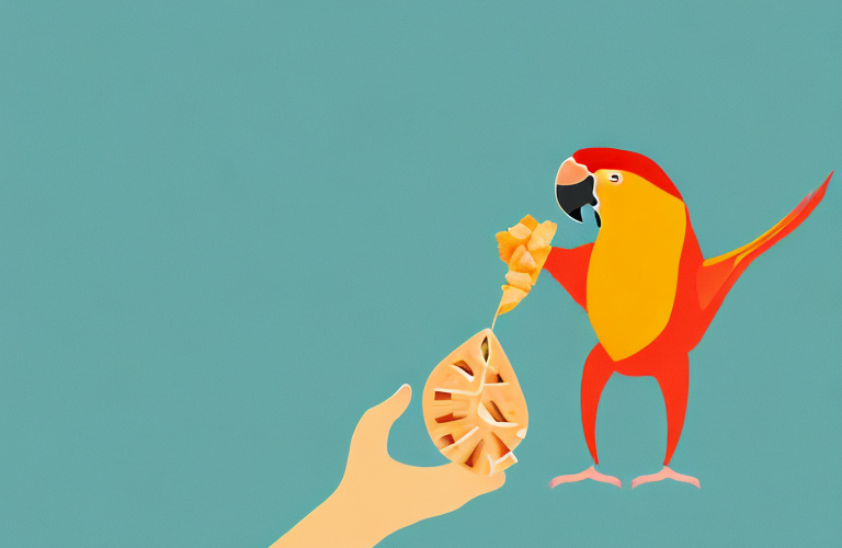 A parrot eating a sweet potato