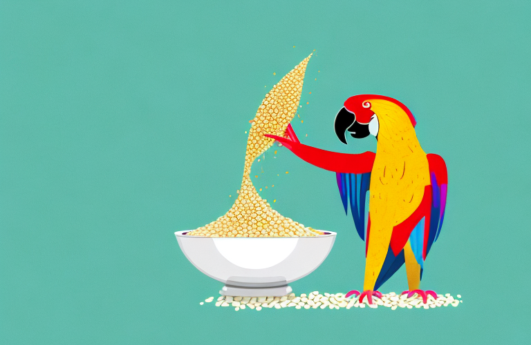 A parrot eating millet from a bowl