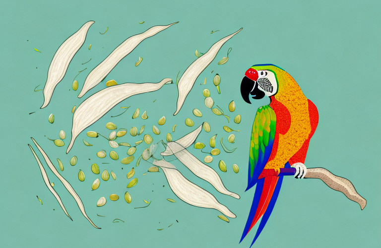 A parrot eating mung beans