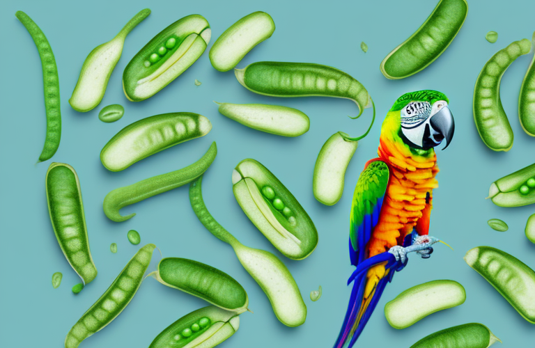 A parrot eating a snap pea