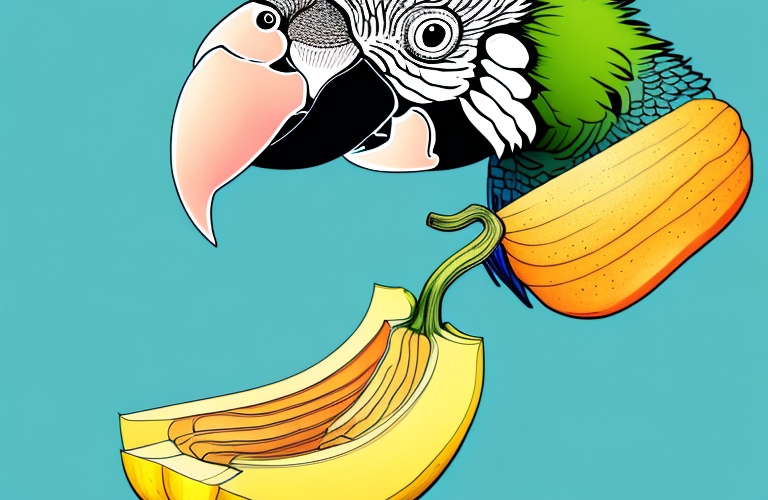 A parrot eating a squash