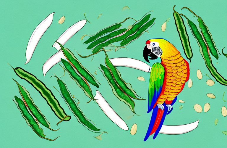 A parrot eating a green bean