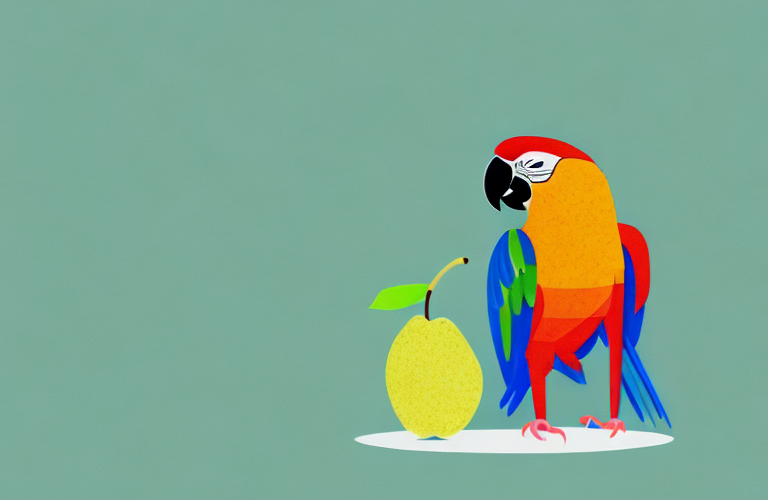 A parrot eating a pear