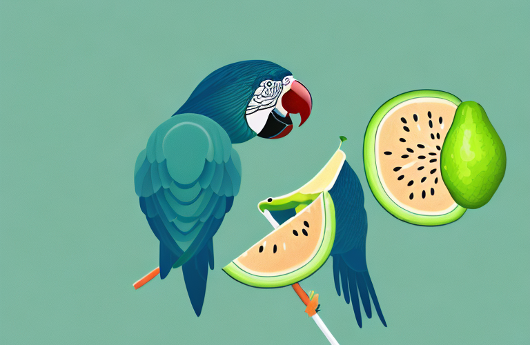 A parrot eating a honeydew melon