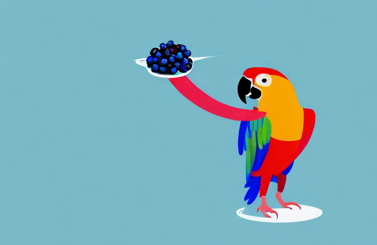 A parrot eating a blueberry