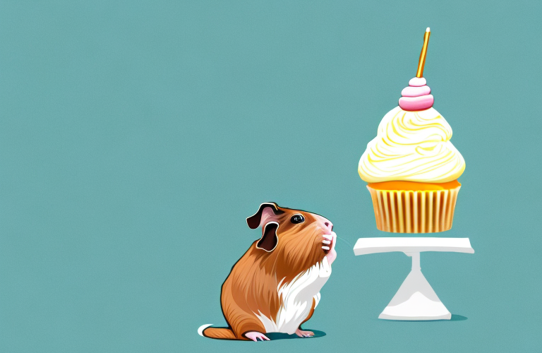 Can Guinea Pigs Eat Cupcakes