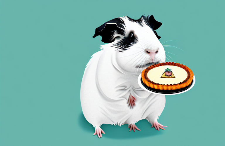 Can Guinea Pigs Eat Tarts