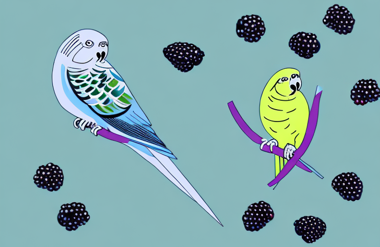 Can Parakeets Eat Blackberries
