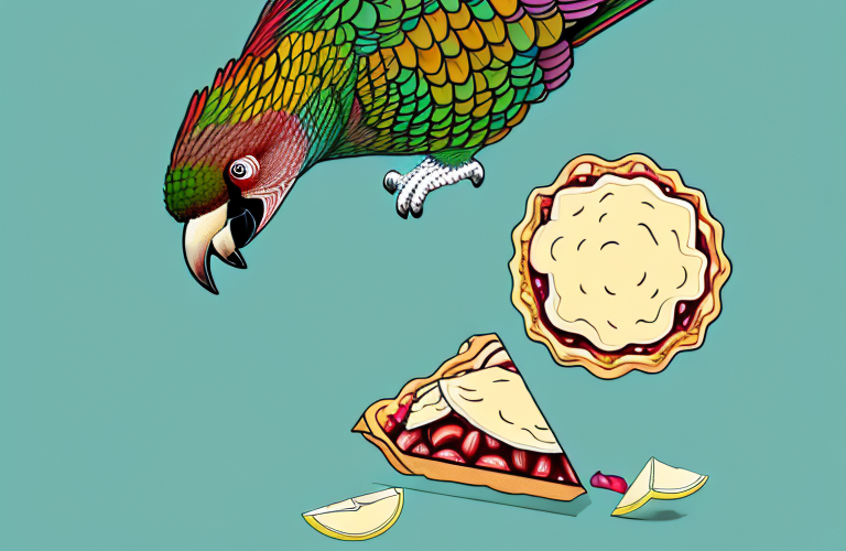Can Conures Eat Apple Pie