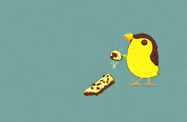 A canary eating a chocolate chip cookie