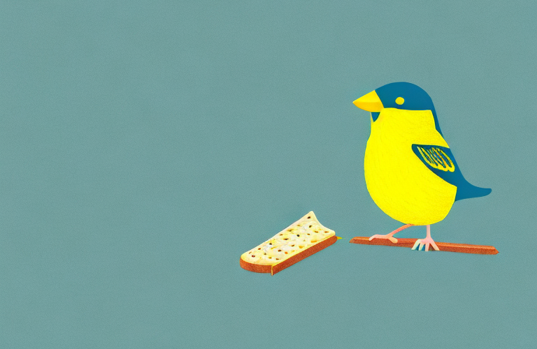 Can Canaries Eat Ritz Crackers
