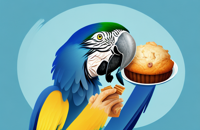 Can Macaws Eat Blueberry Muffins