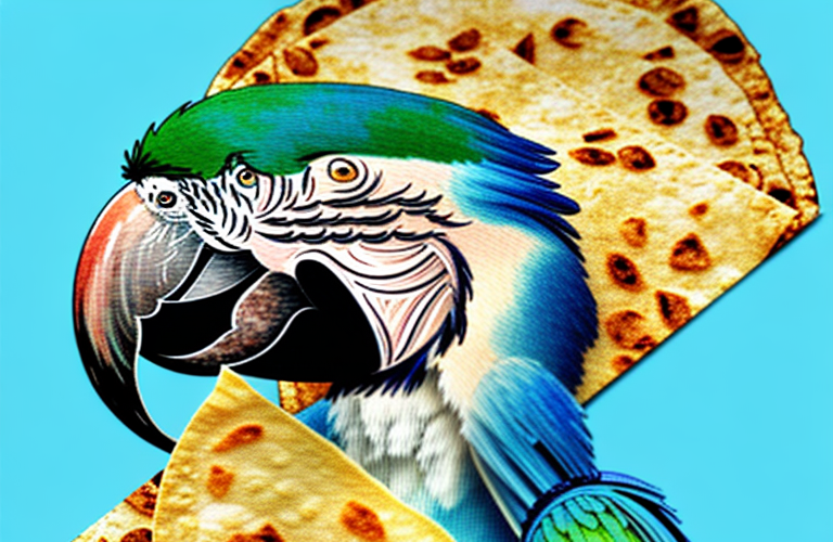 Can Macaws Eat Tortilla Chips