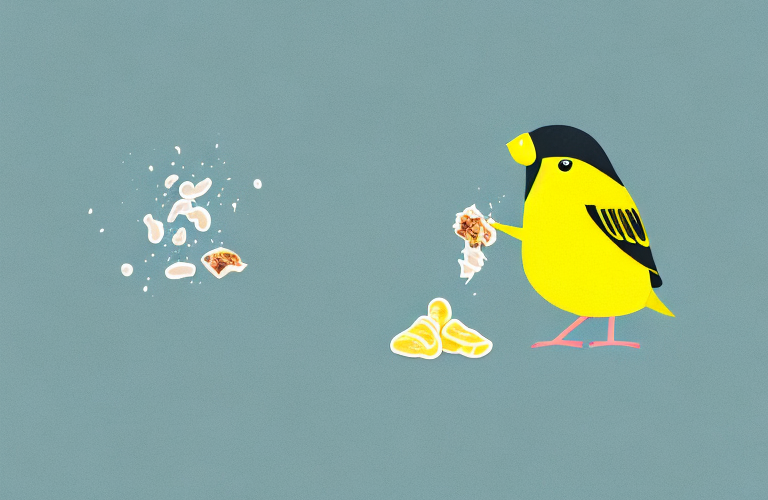 Can Canaries Eat Raisin