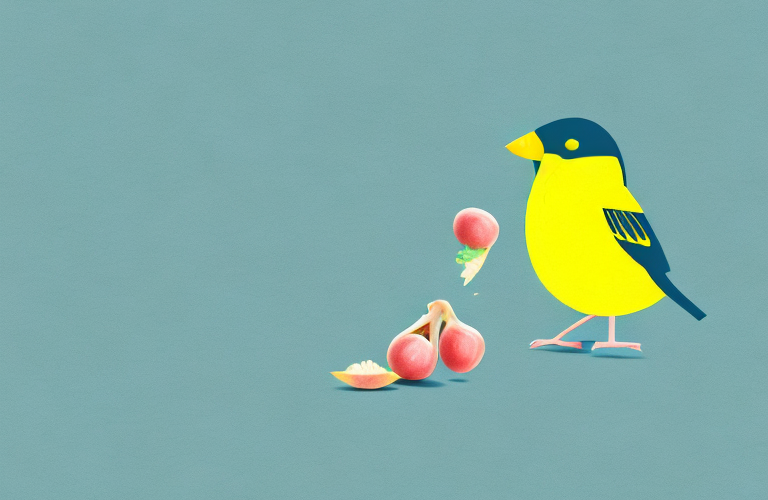 A canary eating a grape