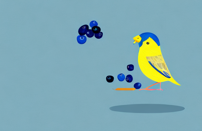 Can Canaries Eat Blueberries