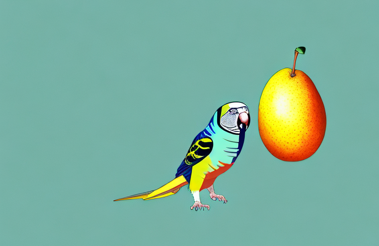 A parakeet eating a mango