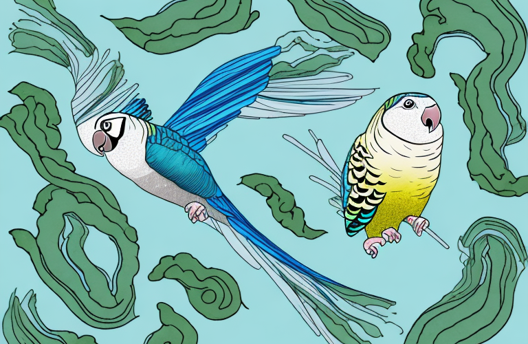 Can Parakeets Eat Seaweed