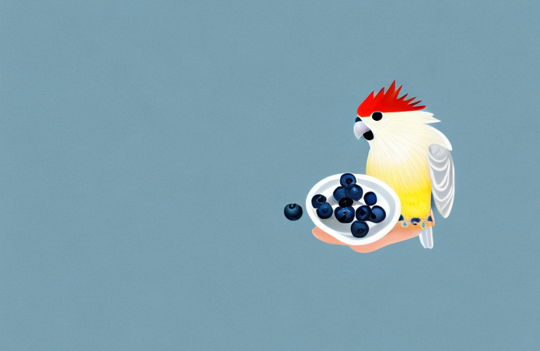 A cockatiel eating a blueberry