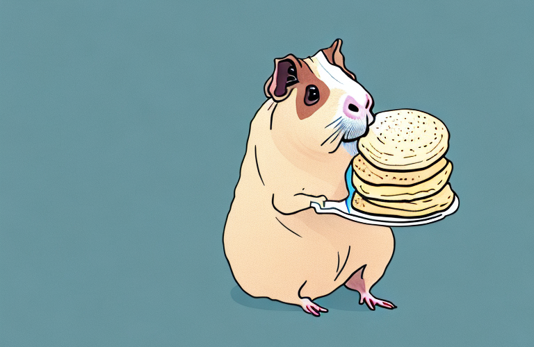 A hairless guinea pig eating a pancake