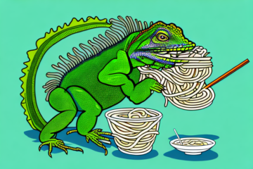 Can Green Iguanas Eat noodles