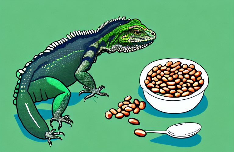 A green iguana eating a bowl of baked beans
