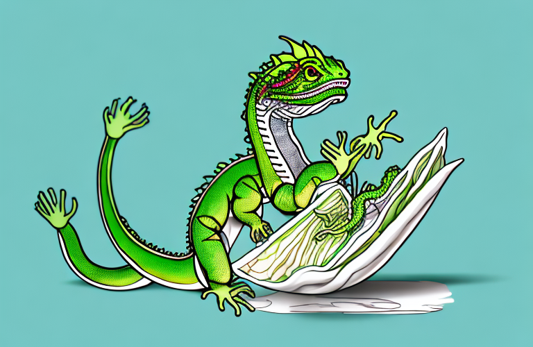 A chinese water dragon eating endive