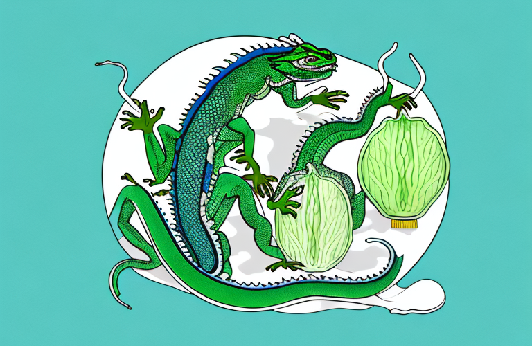 A chinese water dragon eating a winter melon