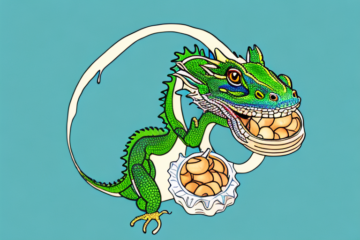 Can Chinese Water Dragons Eat Pralines