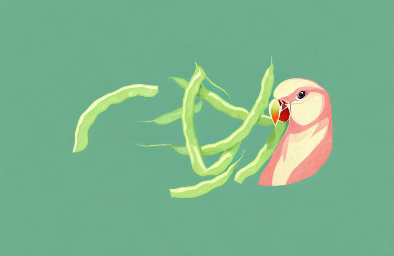 A lovebird eating a green bean
