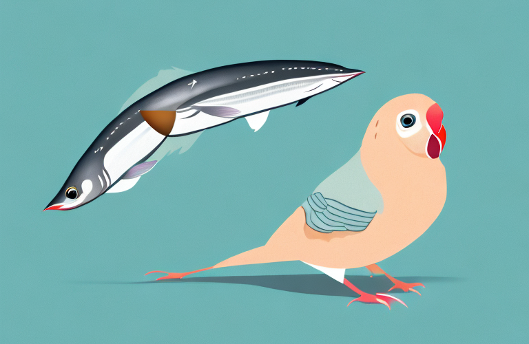 A lovebird eating a sardine