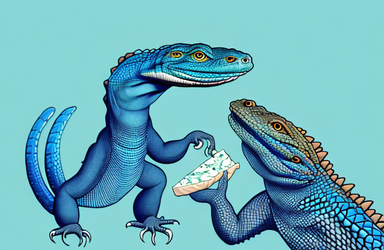 Can Monitor Lizards Eat Blue Cheese
